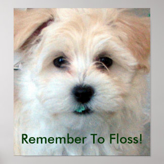 Poster Dental Hygiene Puppy