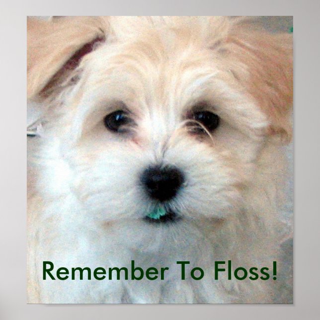 Poster Dental Hygiene Puppy (Frente)