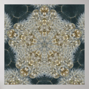 Pôster Dente-de-leão estrela novembro de 2012