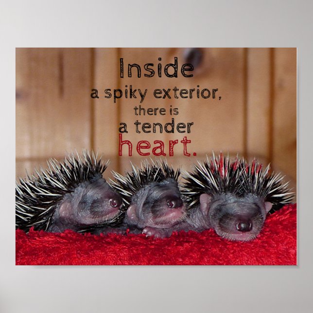 Pôster Dentro a espiada exterior há um coração tenro (Frente)