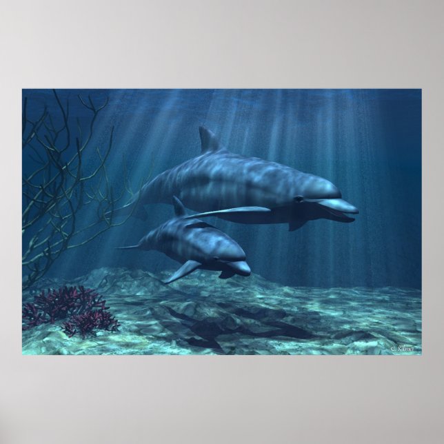 Poster Dentro da Luz (Frente)