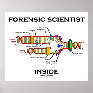 Poster Dentro de Cientista Forense (Replicação de DNA)