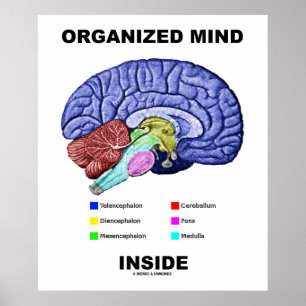 Poster Dentro de mente organizada (atitude anatômica do c