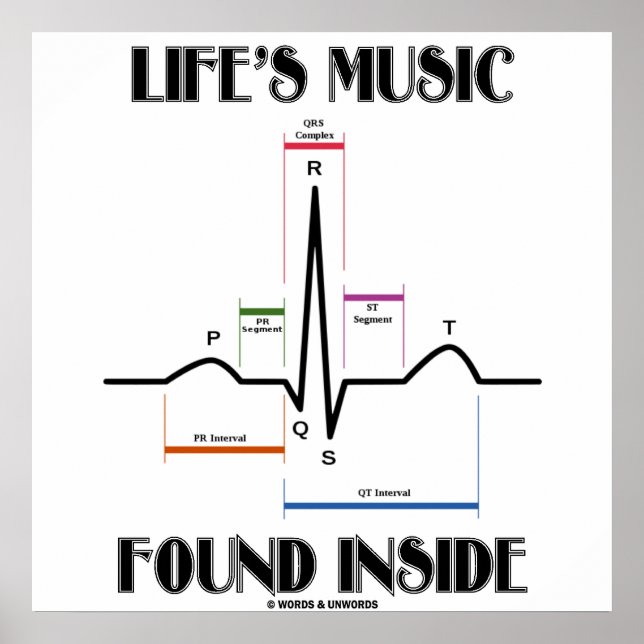 Pôster Dentro de Música Encontrada da Vida (ECG/EKG Heart (Frente)