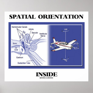 Poster Dentro de Orientação Espacial (Plano Anatomia do