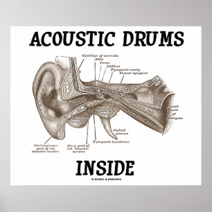 Pôster Dentro de Tambores Acústicos (Anatomia Do Ouvido H