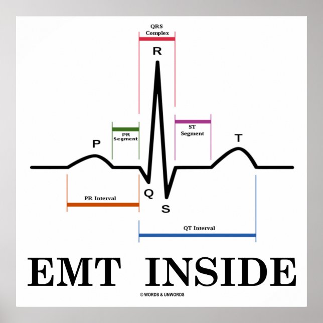 Poster DENTRO EMT (Eletrocardiograma com Ritmo Sinus) (Frente)