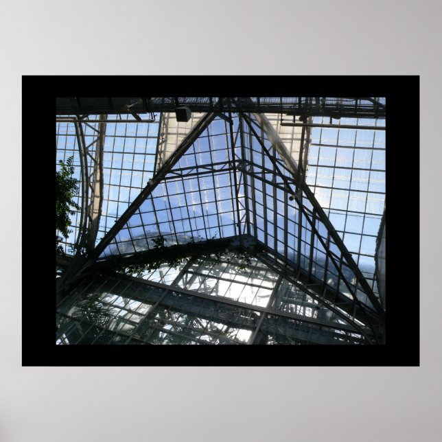 Pôster dentro (teto de estufa) (Frente)