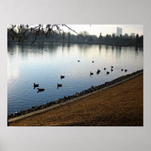 Poster Denver City Park, Denver, Colorado