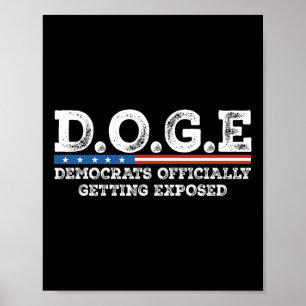 Poster Departamento De Eficiência Governamental D.o.g.e D