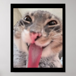 Poster Derpy Cat Tongue Out Meme Engraçado Weirdcore Me O