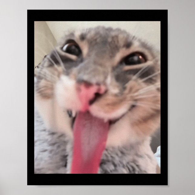 Poster Derpy Cat Tongue Out Meme Engraçado Weirdcore Me O (Frente)