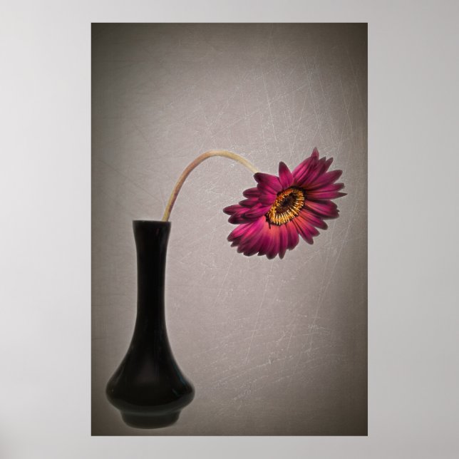Pôster Derrubando Gerbera Daisy Em Vase (Frente)