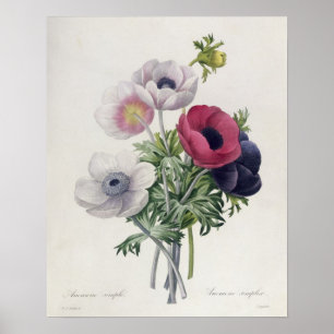 Pôster 'DES de Les Choix mais Belles Fleurs