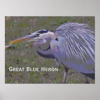 Poster Desafio Heron Azul do excelente