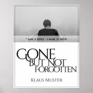 Poster Desapareceu mas não foi esquecido - Brilho