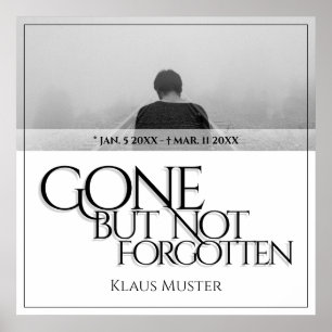 Poster Desapareceu mas não foi esquecido - Brilho