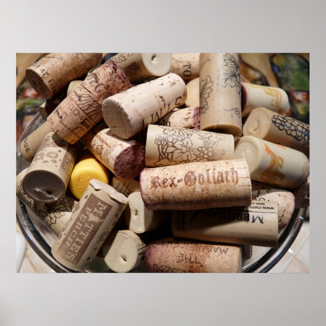 Pôster Descabeçado (Frente)