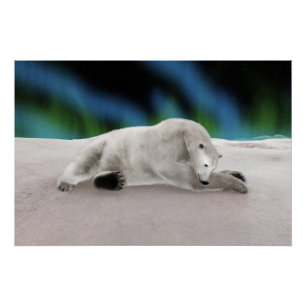 Pôster Descanso de Urso Polar