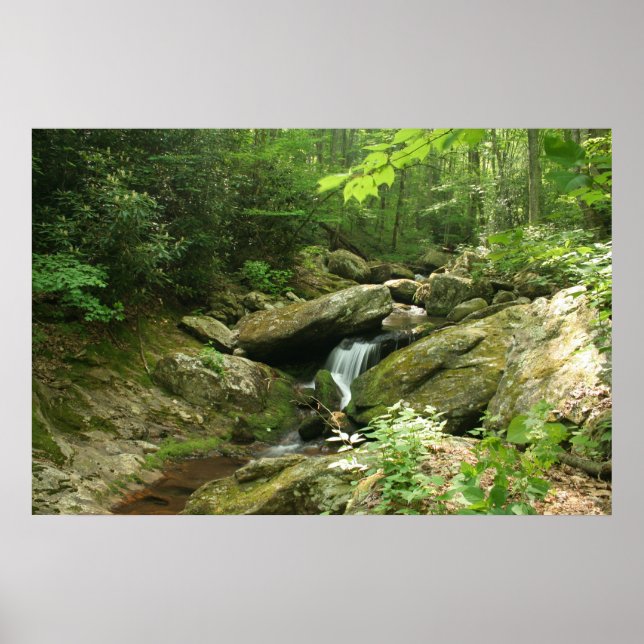 Poster Descarte De Sabor (Frente)