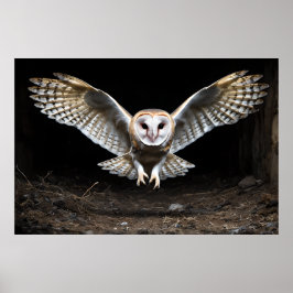 Poster Descida Silenciosa - Coruja-Barão em Voo