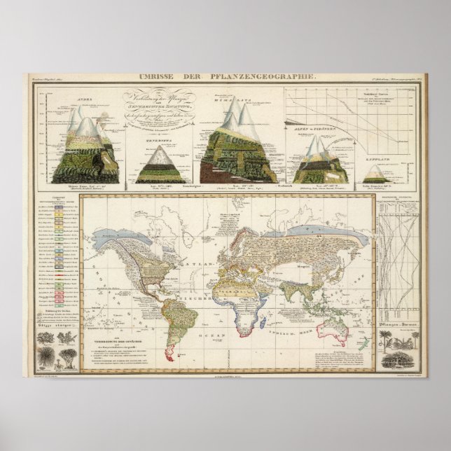 Pôster Descrição da geografia das plantas (Frente)