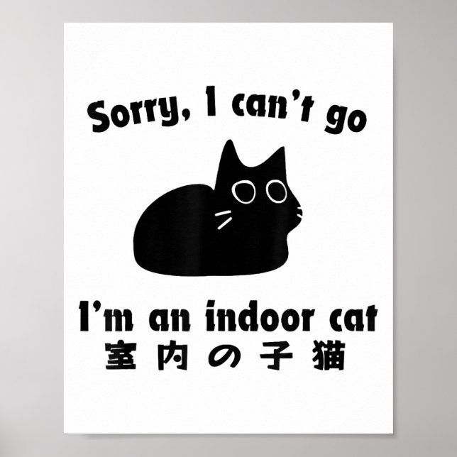 Poster Desculpe, eu não posso ir. Sou um japonês interior (Frente)