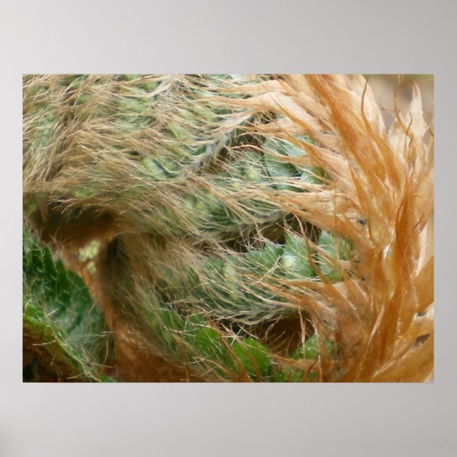 Pôster Desdobramento (Frente)