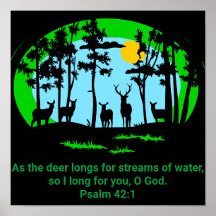 Poster Desejo por Deus