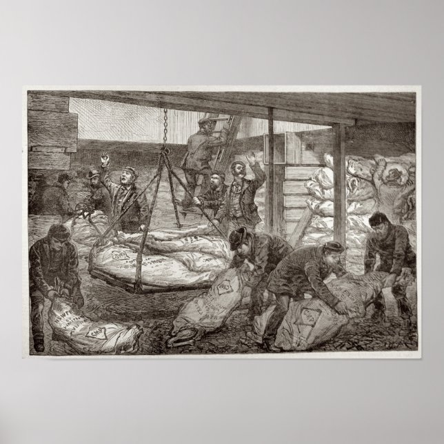 Poster Desembarque de carne congelada australiana (Frente)