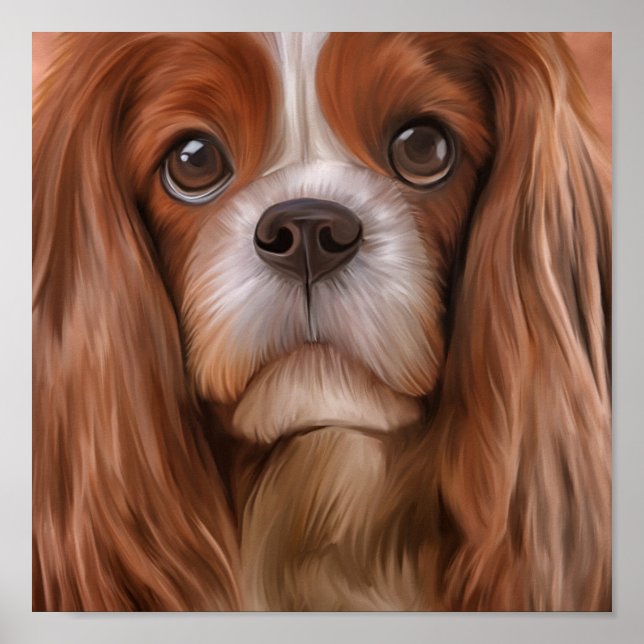 Poster Desenhando Cavalier King Charles Spaniel (Frente)