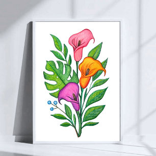 Poster Desenho a Lápis de Cor de Flores de Copo-de-Leite