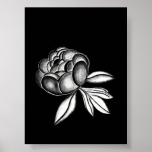 Poster desenho a lápis de peônias