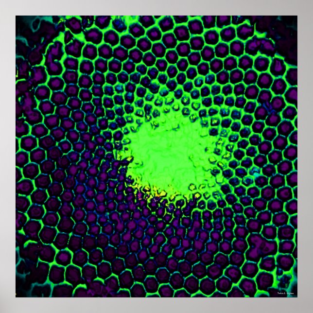 Pôster Desenho Abstrato de Favos de Mel verde e roxo (Frente)