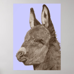 Poster desenho animado de burro giro