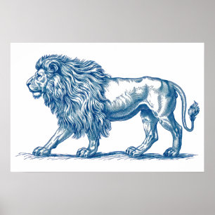Poster Desenho antigo de um Leão