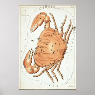 Poster Desenho astrológico do cancer