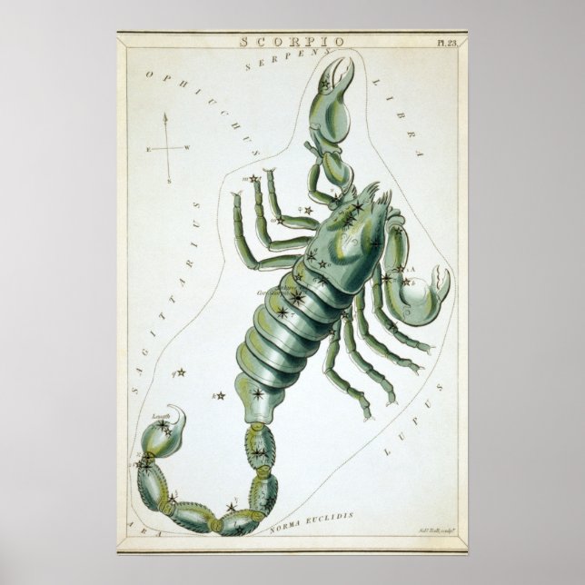 Poster Desenho Astrológico Escorpião (Frente)