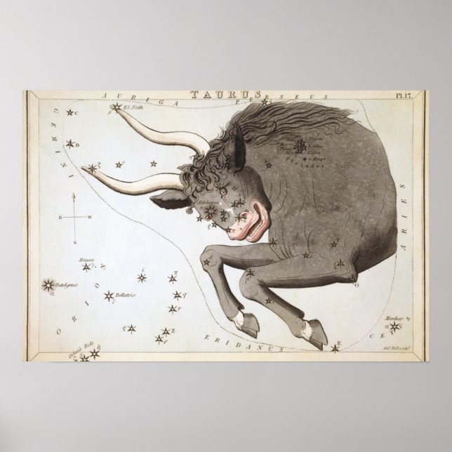 Poster Desenho astrológico Taurus (Frente)