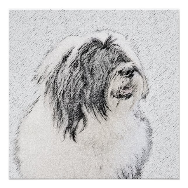 Pôster Desenho Collie Com Carapaça - Arte Cachorra Origin (Frente)