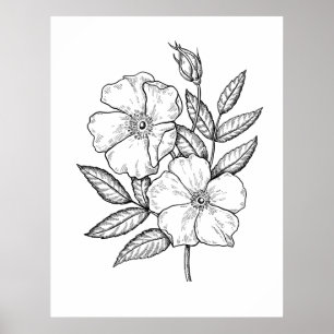 Poster Desenho cor-de-rosa selvagem da flor