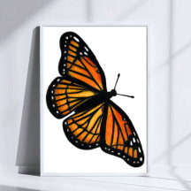 Desenho da Borboleta Monarca Arte de Lápis Colorid