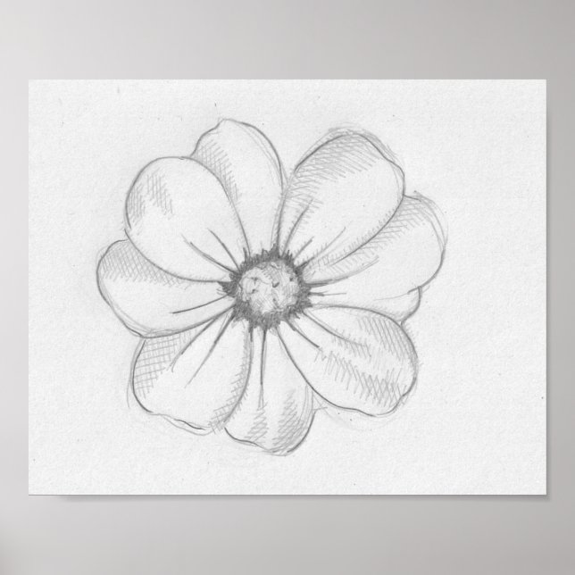 Poster Desenho da Flor (Frente)