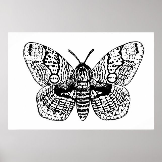 Poster Desenho da marreta brâmane (Frente)