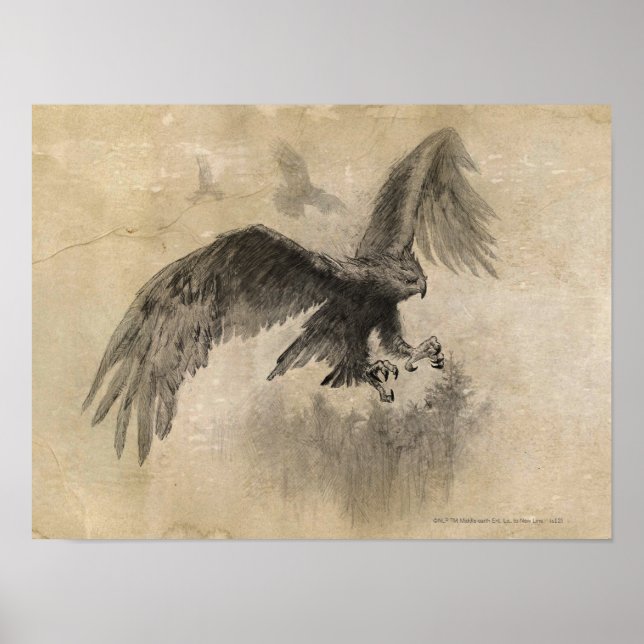 Pôster Desenho das Águias excelentes (Frente)
