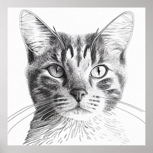 Poster Desenho De Arte Da Ilustração Animal Da Natureza S