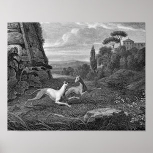 Pôster Desenho De Cachorros Italiano