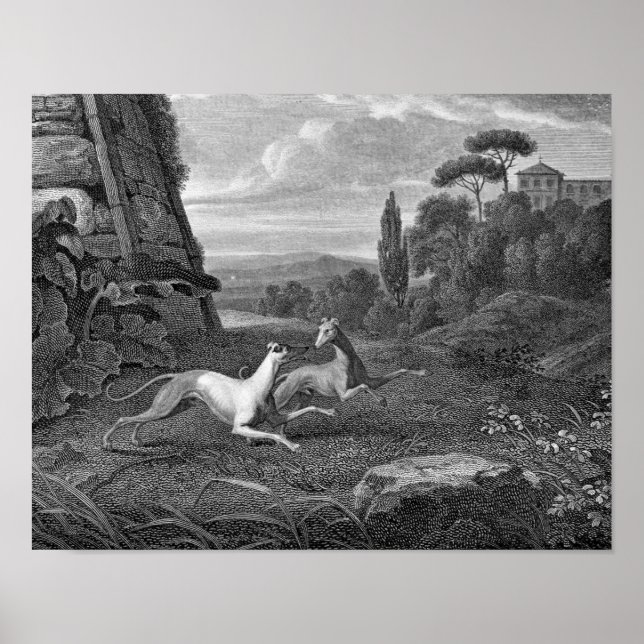 Pôster Desenho De Cachorros Italiano (Frente)