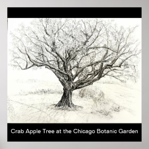 Poster Desenho de caneta e árvore de tinta