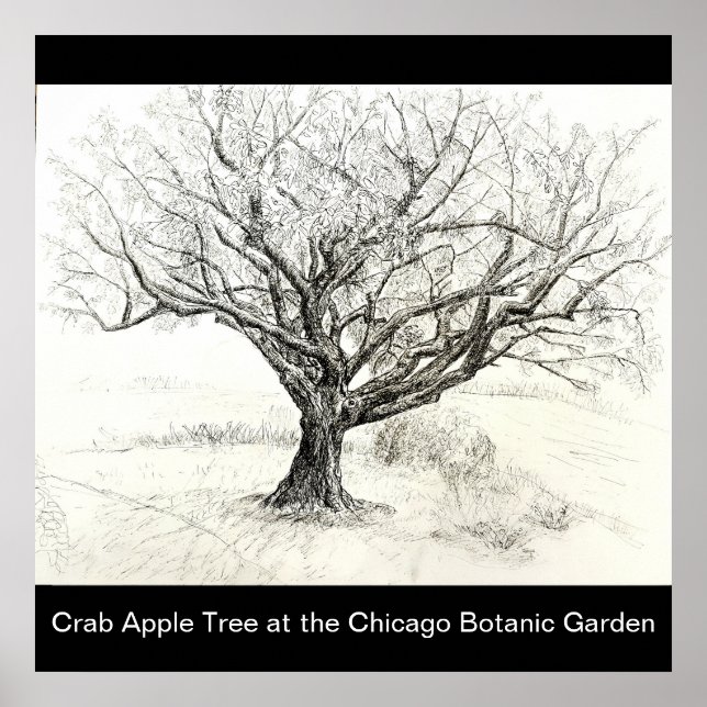 Poster Desenho de caneta e árvore de tinta (Frente)